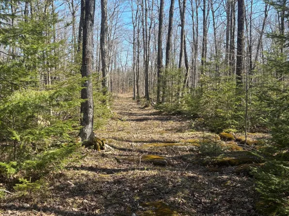 S Walding Rd, Drummond Island, MI 49726