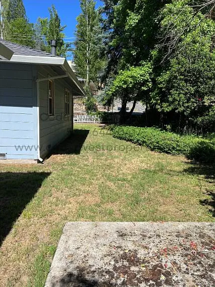 3178 Cedar Ravine Rd — Photo 21