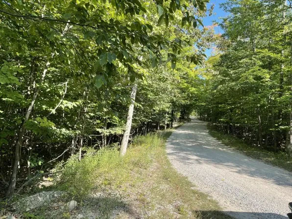 LOT 1 S Shines Lake Rd, Drummond Island, MI 49726