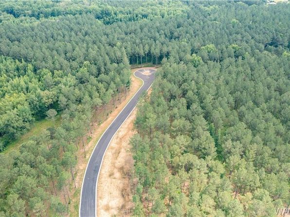 LOT 7 Northside Rd, Berry, AL 35546