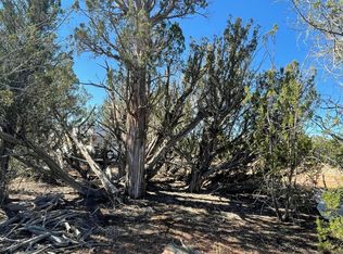 32162 W Ancho Rd, Seligman, AZ 86337