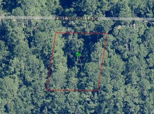 1016 E Vercelli Ln, Citrus Springs, FL 34434