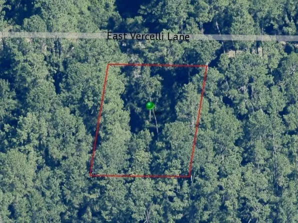 1016 E Vercelli Ln, Citrus Springs, FL 34434