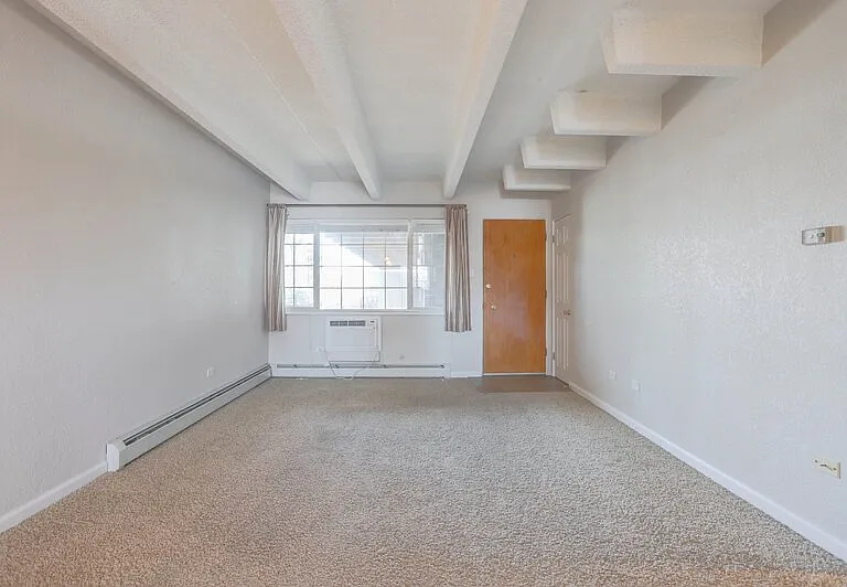50 N Clarkson St #302 — Photo 3