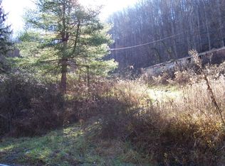 9202 Hayters Gap Rd, Abingdon, VA 24210