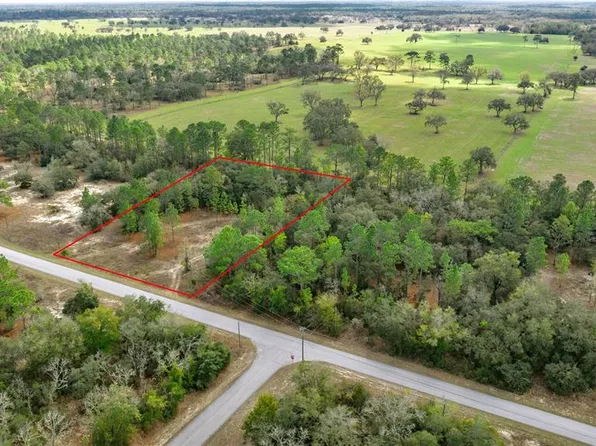 Blk17 Sw Tiger Lake Blvd Lot 21, Dunnellon, FL 34431