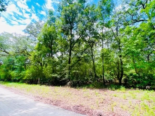 0 SE Earl Blvd, Branford, FL 32008