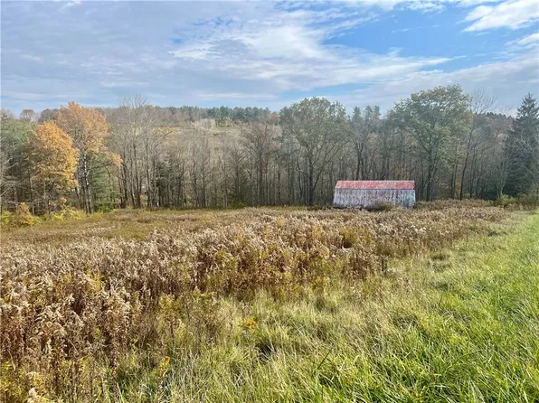 0 W Hill Rd #15, Spencer, NY 14883