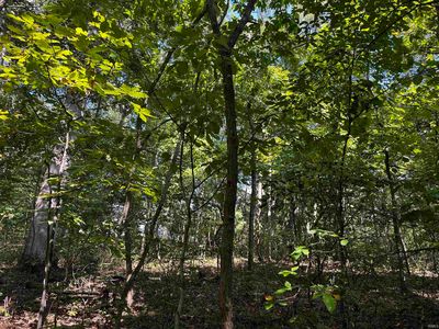 945 S Rudolph Ln, Santa Claus, IN, 47579