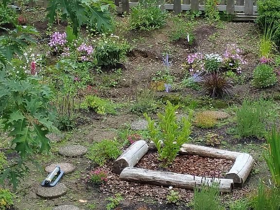 garden view