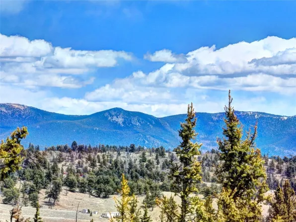 220 Pepperbox Path, Como, CO 80432
