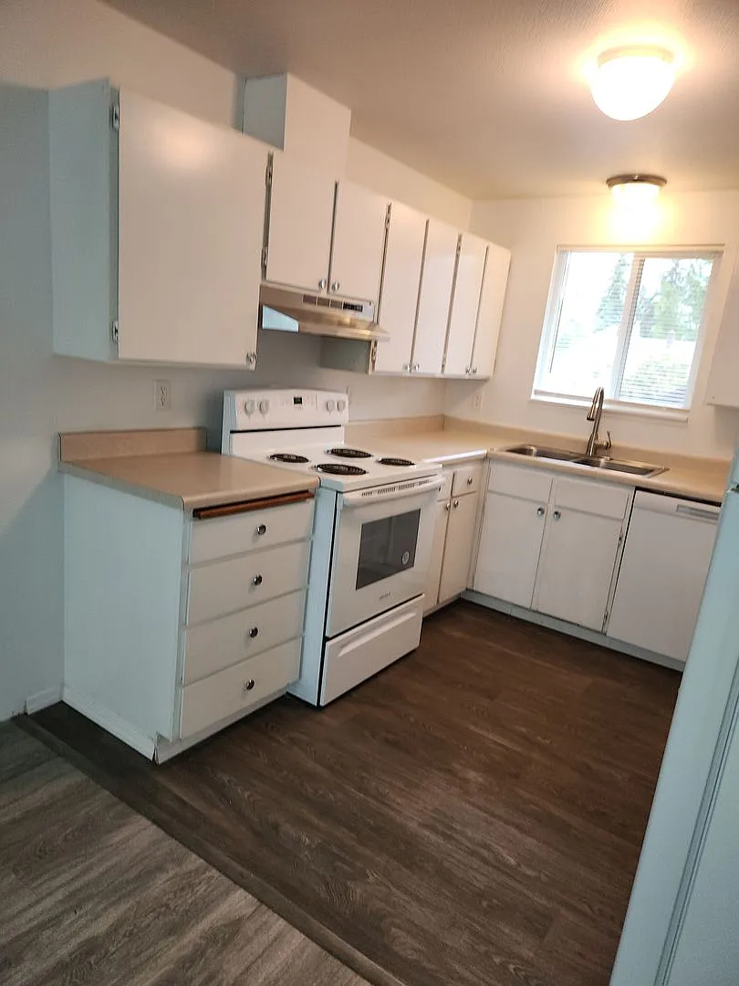 937 Nandina St — Photo 4