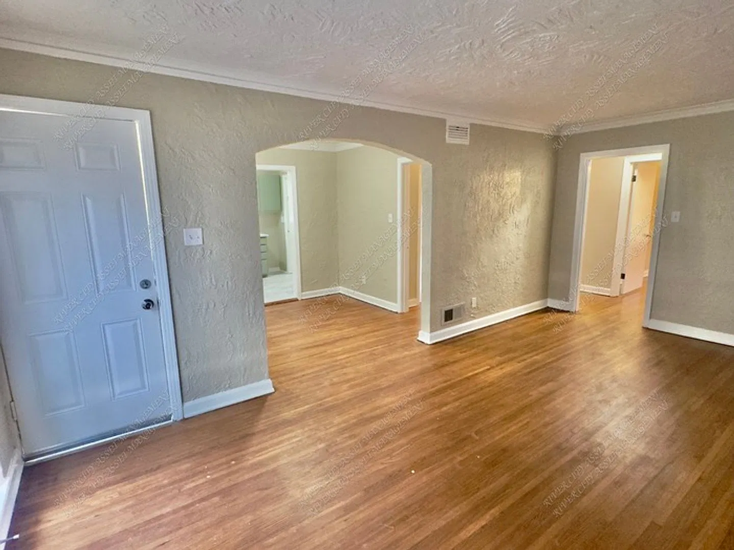 Newly Renovated! — Photo 4