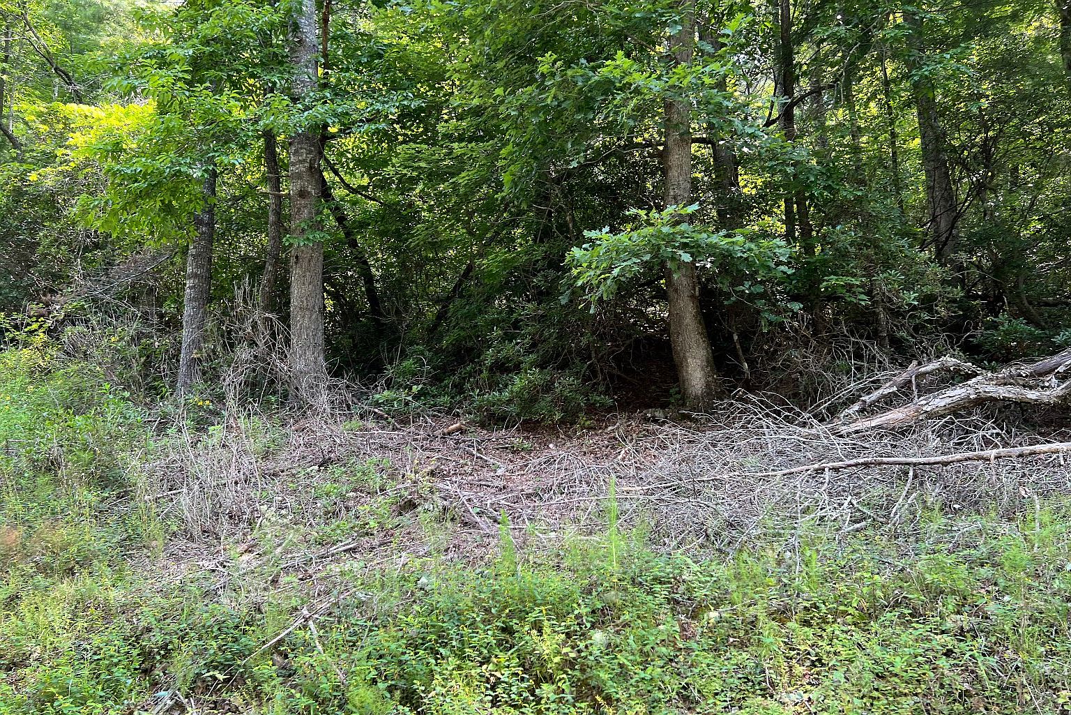 Township Road 1 Fires Creek Cove Rd, Hayesville, NC 28904 | MLS #324622 ...