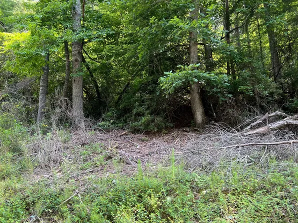 Township Road 1 Fires Creek Cove Rd, Hayesville, NC 28904