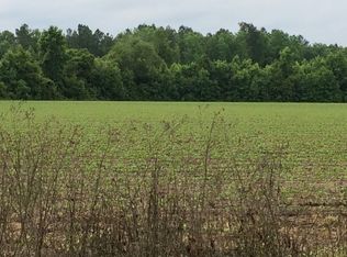 Reeves St, Reevesville, SC 29471