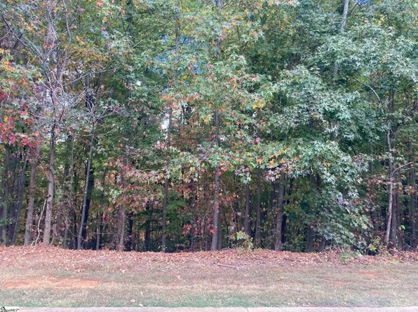 232 Laurel Valley Way, Travelers Rest, SC 29690