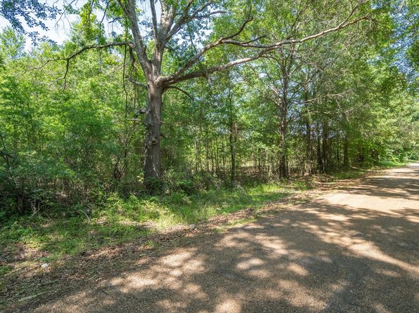 Vz County Road 4714 Tract Rd #13, Ben Wheeler, TX 75754