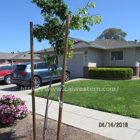 1st image of 512 Northlake Dr