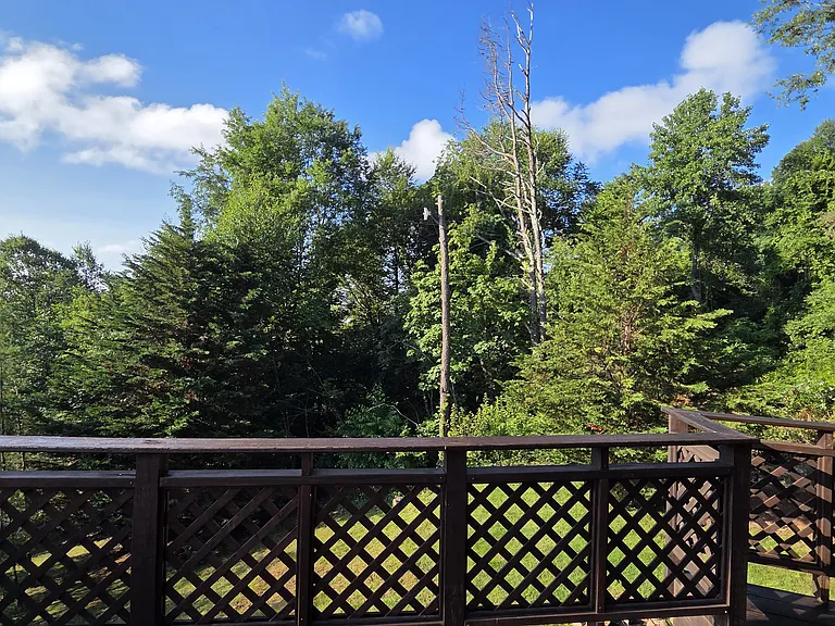 281 Bearwallow Trl — Photo 24
