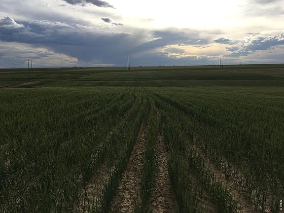 4th image of 8551 Flint Ridge St