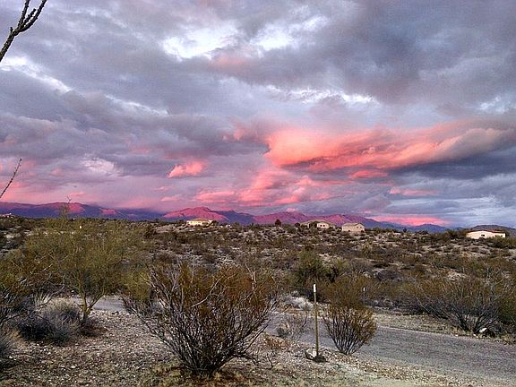 view from back porch