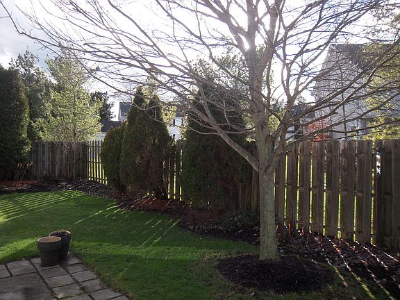 2nd image of 709 Pebble Creek Dr