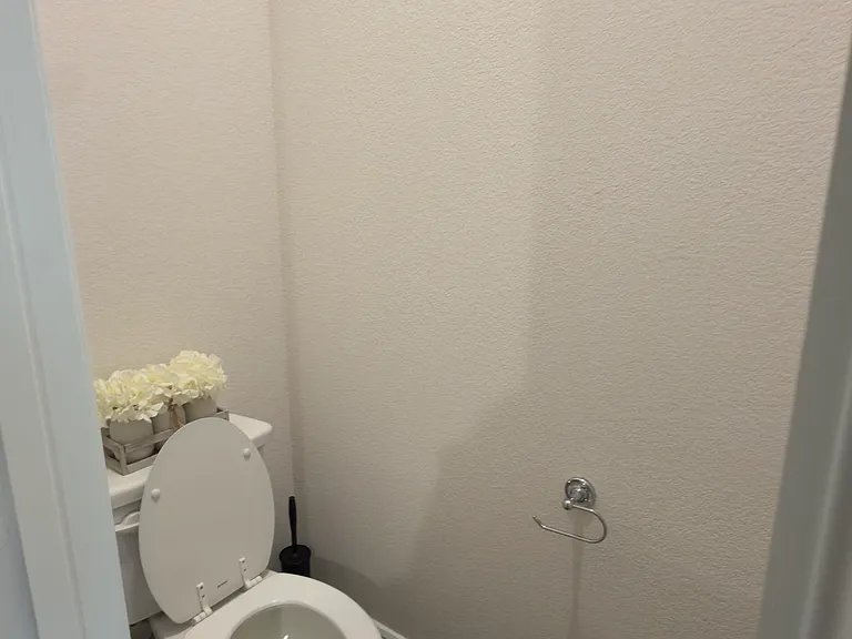 Master toilet