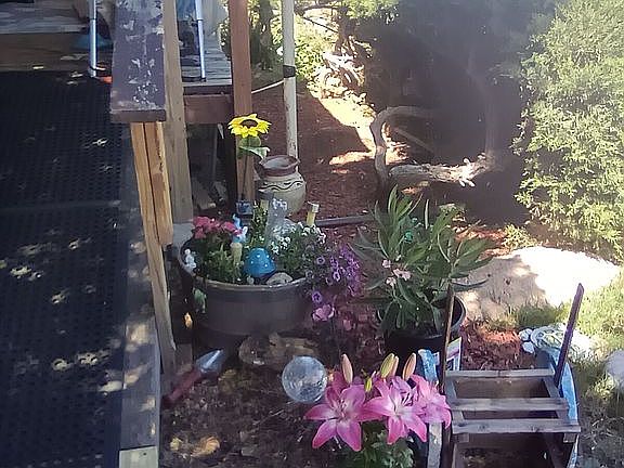 Main entrance ramp!