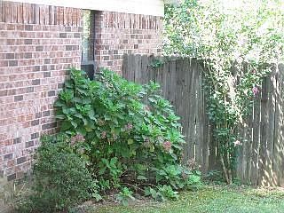 2nd image of 45 Crestline Dr