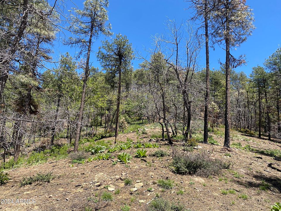 1st image of 1001 S turkey trot Trail #-