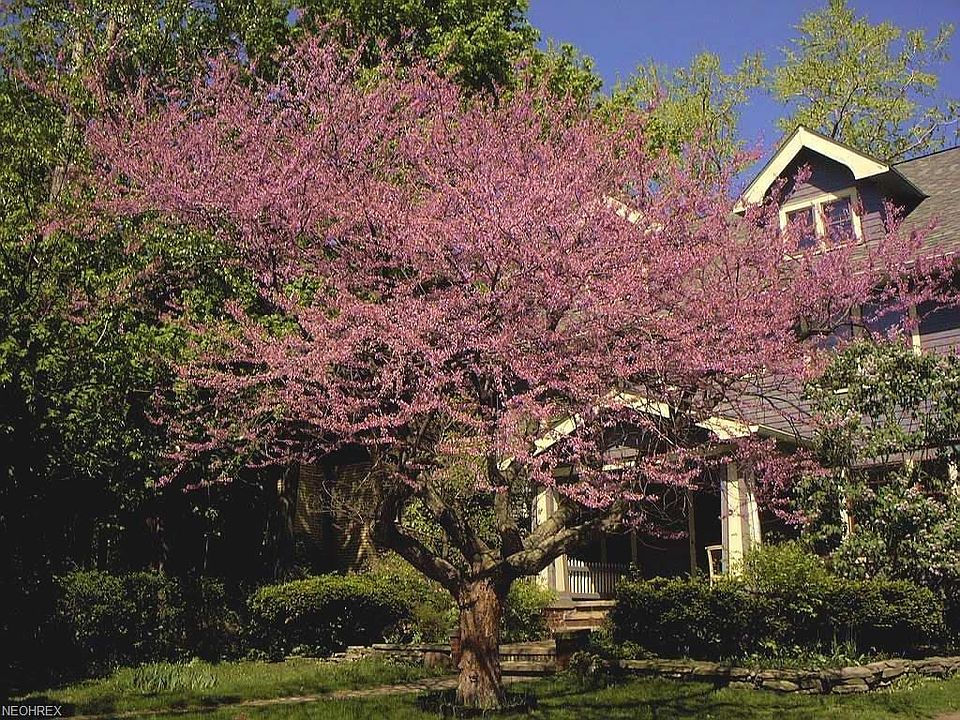 1st image of 1783 Cadwell Ave