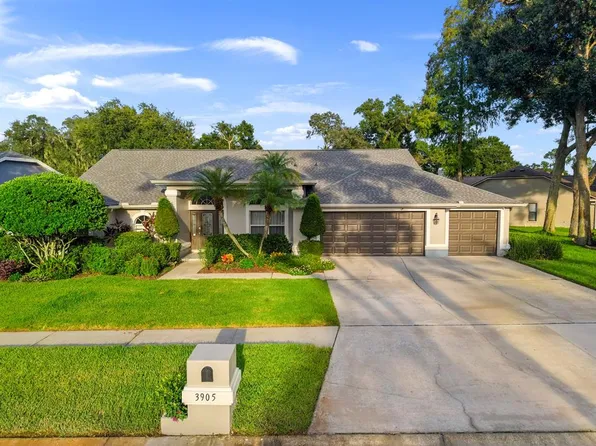3905 NORTHRIDGE DRIVE, VALRICO, FL 33596