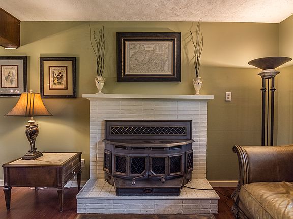 Wood stove insert w/ blower