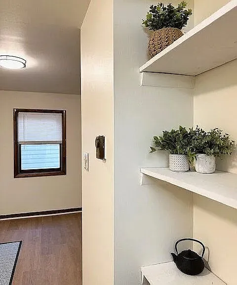52 Pine Street, Unit 54 Pine - 1L (back) — Photo 3