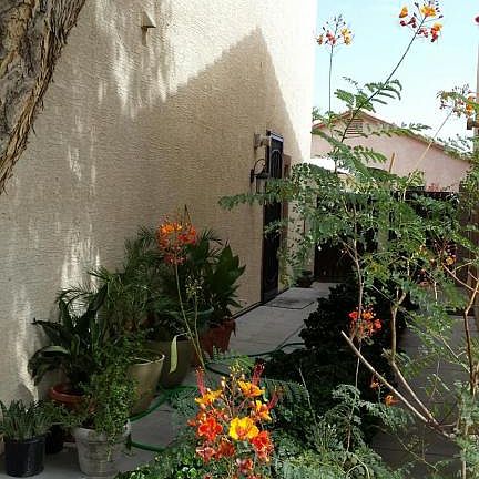 2nd image of 2736 E Schiliro Cir
