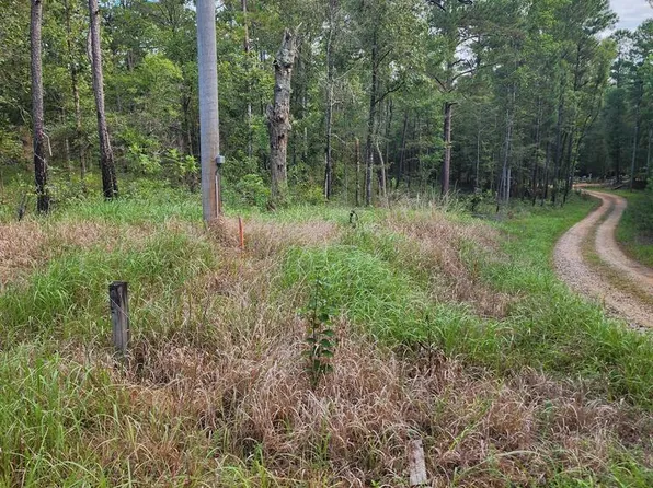0 Dogwood Ln, Poplarville, MS 39470
