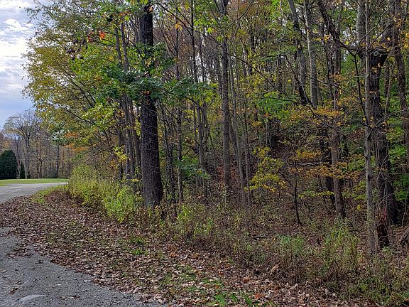 4th image of Robinson Hollow Way