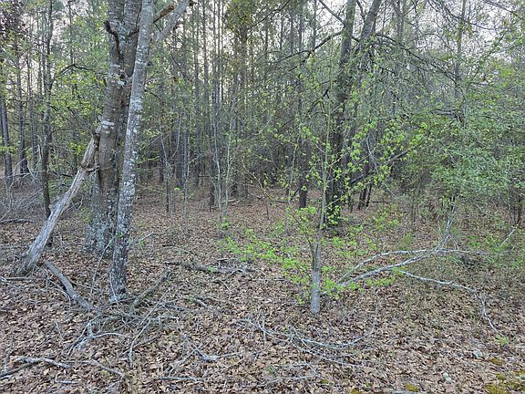 5th image of 2797 Raborn Road
