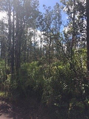 3rd image of Road 7 Opeapea Lot 4650
