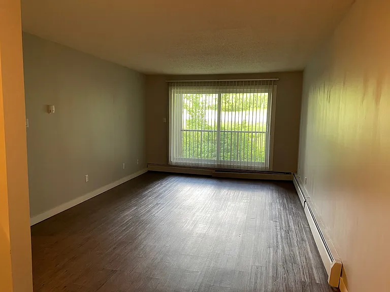 15 Saunderson Ave — Photo 10