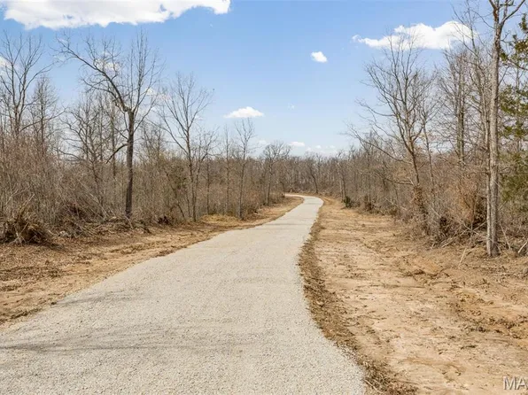 1 Thunder Ridge Rd, Richwoods, MO 63071