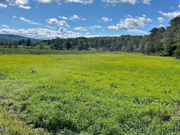 L29.4 County Route 18, Whitehall, NY 12887