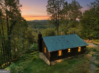 421 Salem Valley Rd, Mineral Bluff, GA 30559