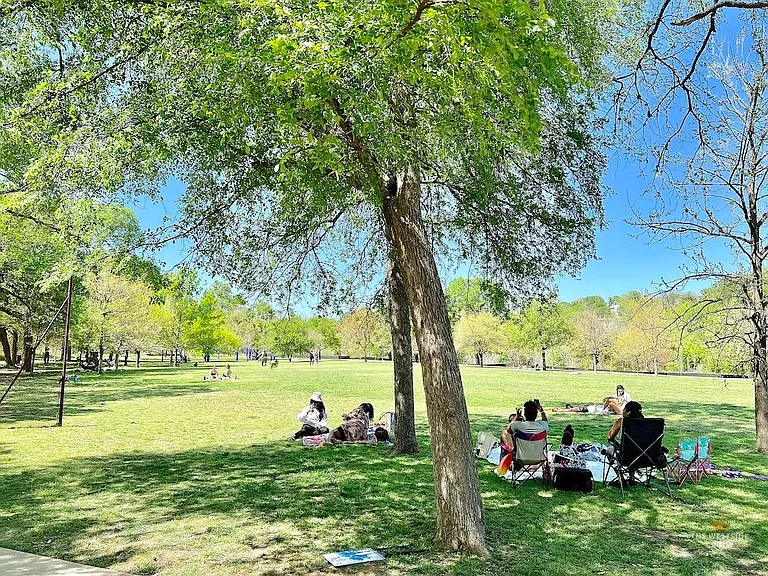 pease park surroundings