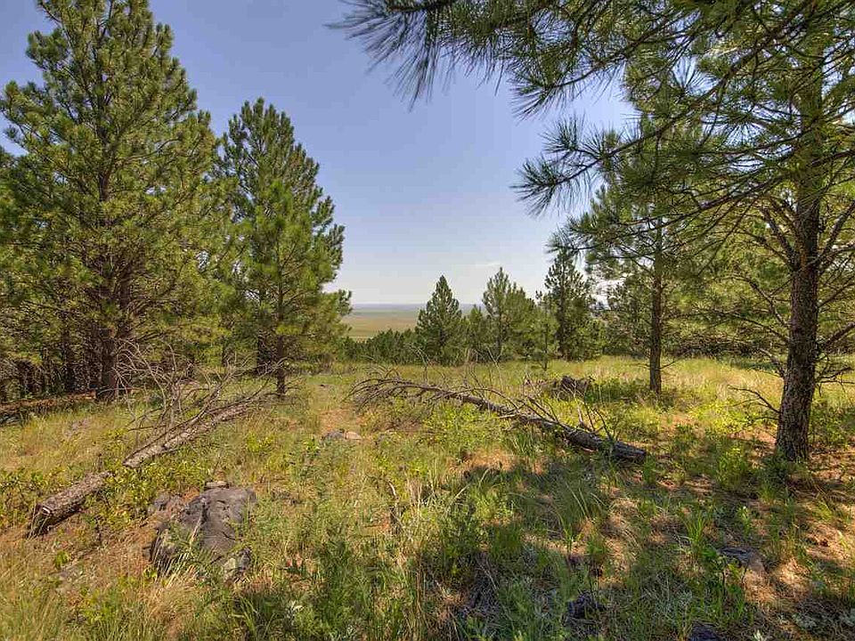 13526 Tatanka Spirit Rd, Buffalo Gap, SD 57722 Zillow