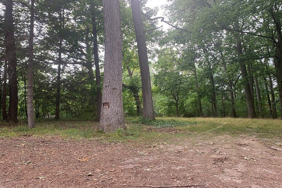 1st image of 8848 Lakeview Blvd