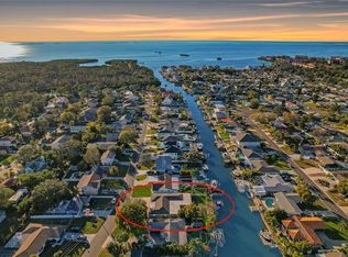 335 Crosswinds Dr, Palm Harbor, FL 34683