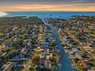 335 Crosswinds Dr, Palm Harbor, FL, 34683