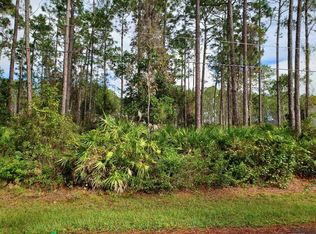 5 Ripplewood Ln, Palm Coast, FL 32164